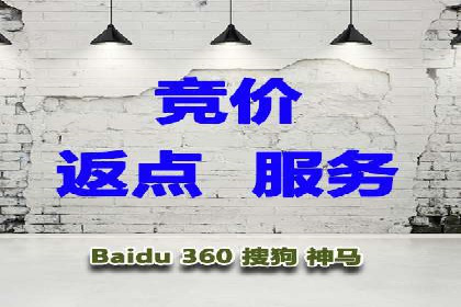 案例分析：百度推广成功案例解析